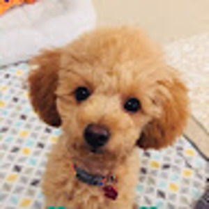 Meet your Posher, Saori